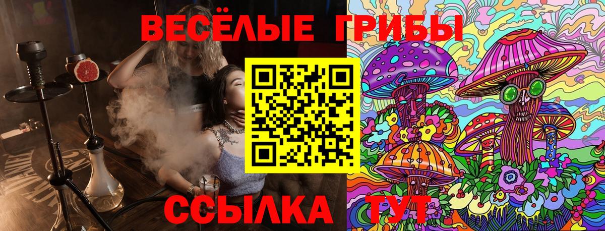 Псилоцибиновые грибы Psilocybine cubensis Донской