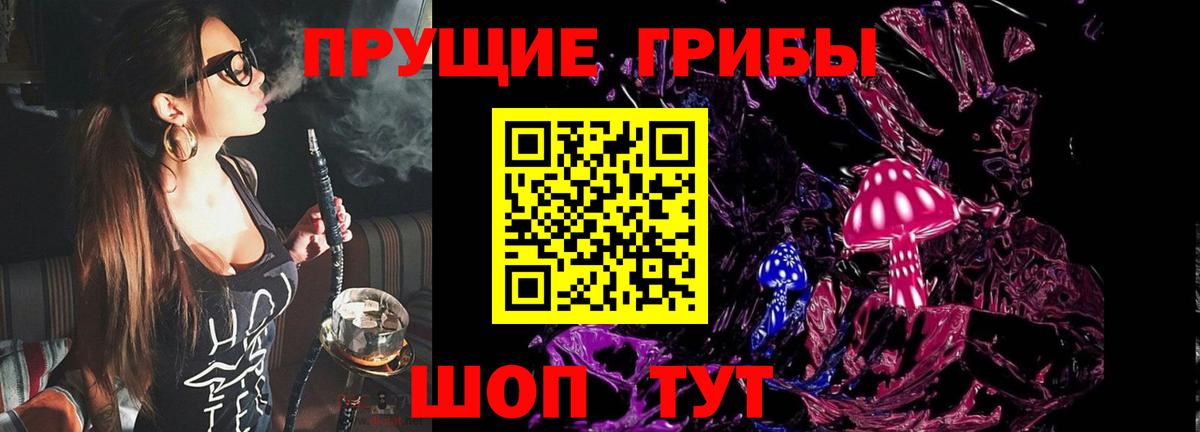 Донской  купить  сайты  Вход с VPN  Галлюциногенные грибы GOLDEN TEACHER 